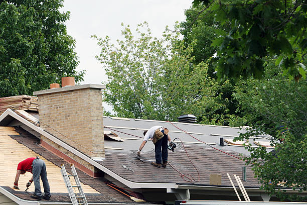 Best Roof Moss and Algae Removal  in Flushing, MI